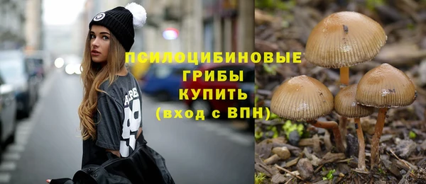метадон Дмитровск