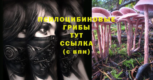 кристаллы Дмитриев
