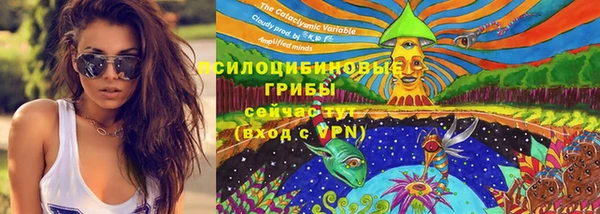 метадон Дмитровск