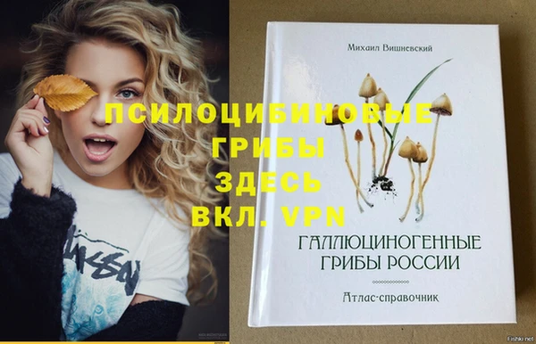 кристаллы Дмитриев
