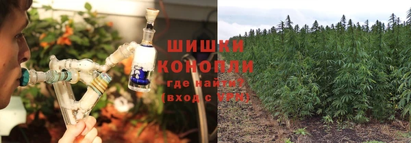 spice Дмитров